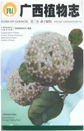广西植物志 第三卷