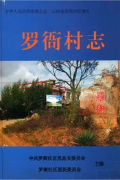 罗衙村志