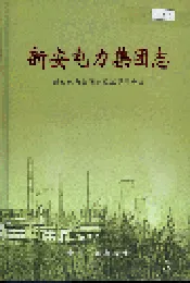 新安电力集团志