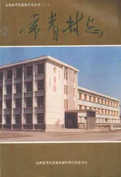 常青村志