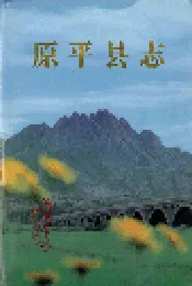 原平县志