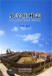 小辛庄村志