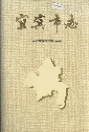 宜宾市志