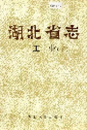 湖北省志 工业（下）