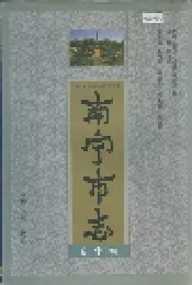 南宁市志文化卷