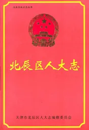 北辰区人大志