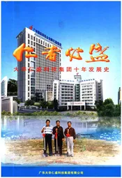 大华仁盛科技集团十年发展史