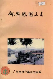 新兴县国土志