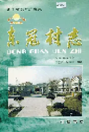 东冠村志