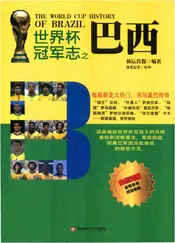 世界杯冠军志之巴西