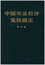 中国市县经济发展概况 三