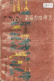 新编少林寺志