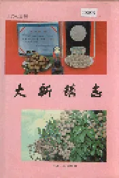大新镇志