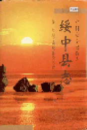 绥中县志