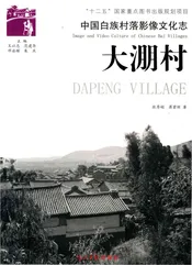 中国白族村落影像文化志---大淜村
