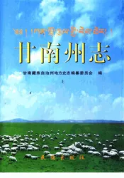 甘南藏族自治州志