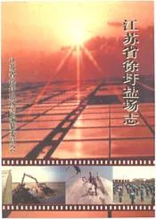 江苏省徐圩盐场志
