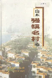 山东强镇名村志