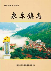 永乐镇志