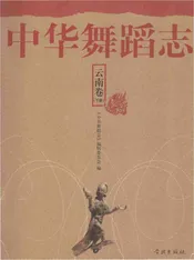 中华舞蹈志 云南卷 下册
