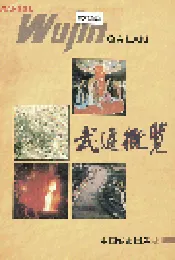 武进概览