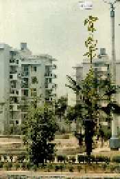 宜昌市房地志