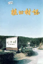 桂口村志