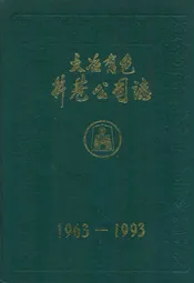 大冶有色井巷公司志(1963-1993)