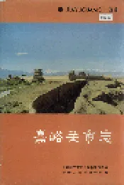 嘉峪关市志