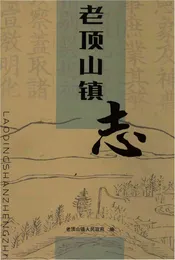 老顶山镇志