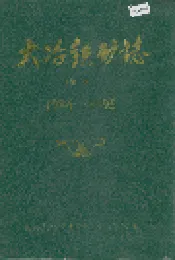 大冶铁矿志（第二卷）
