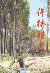仵桥村志
