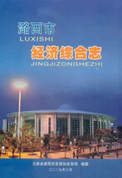 潞西市经济综合志