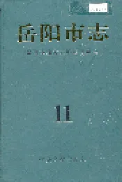 岳阳市志11