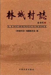 林城村志
