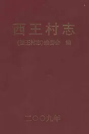 西王村志