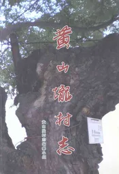 黄山垅村志
