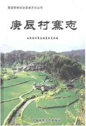 庚辰村寨志