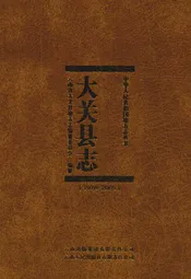 大关县志(1978-2005)