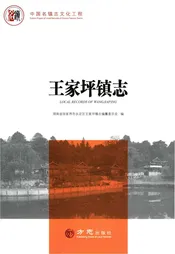中国名镇志丛书—王家坪镇志