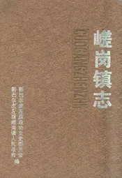 嵯岗镇志