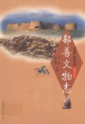 鄯善文物志