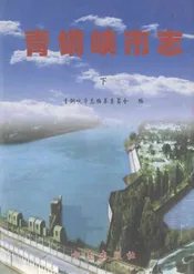 青铜峡市志(下)