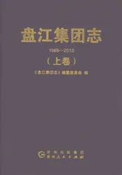 盘江集团志1965-2010上