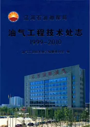 辽河石油勘探局油气工程技术处志(1999～2010)
