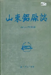 山东铝厂志