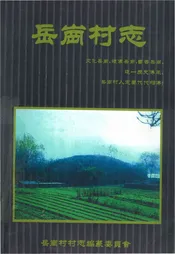 岳岗村志