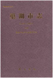 巢湖市志(1991-2005)上册