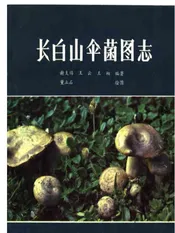 长白山伞菌图志