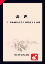 洪湖